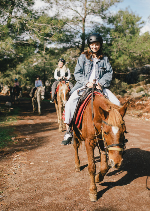 group horseback riding
